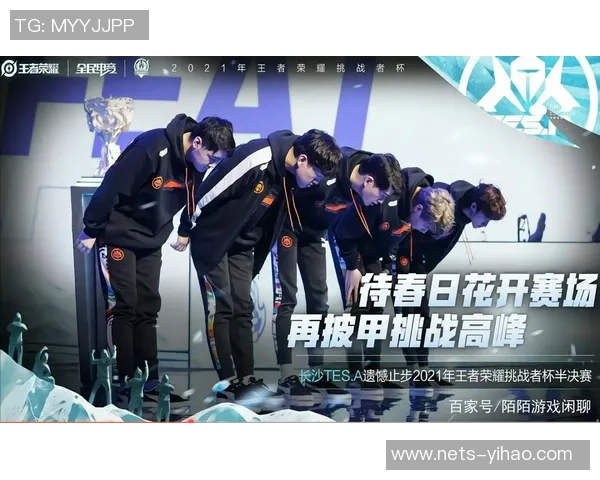 TES在挑战者杯中的团队配合分析与表现评估