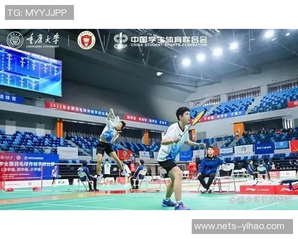 南京羽毛球队的精神与发展：探索羽毛球运动的魅力与团队意识