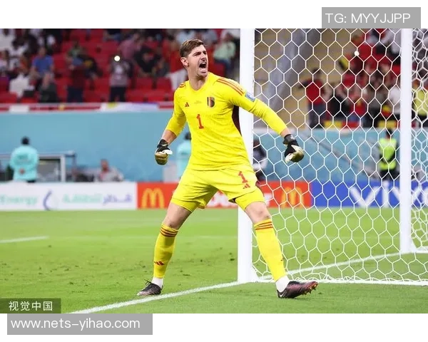 库尔图瓦在世界杯中的精彩表现与未来发展潜力分析